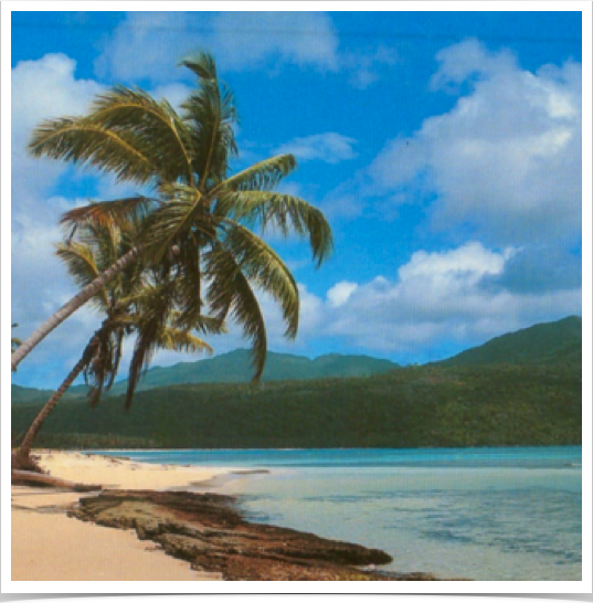 Coconut palm fringed northeastern shores at Playa Rincón.